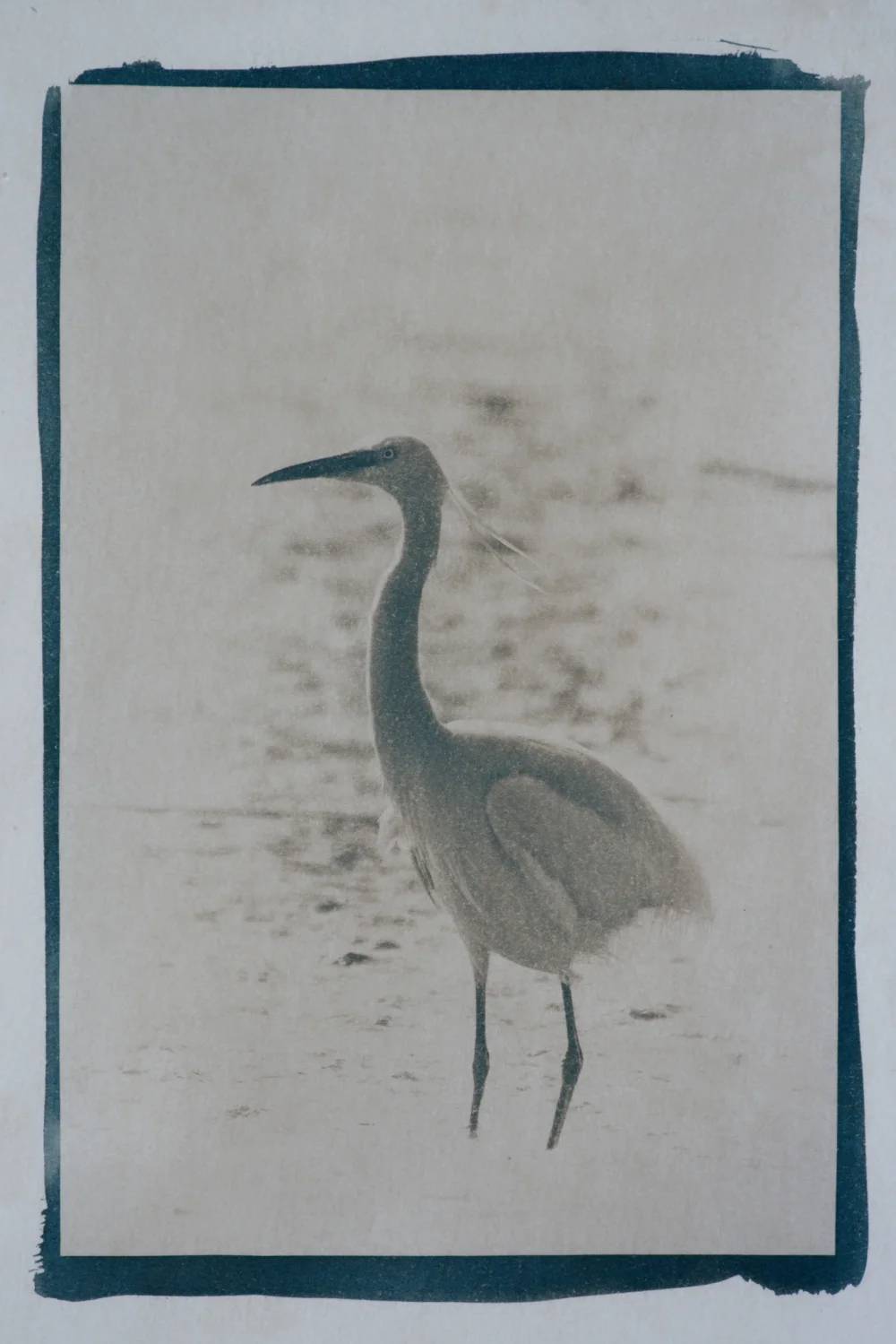 DSC_0274_DxO_01.webp